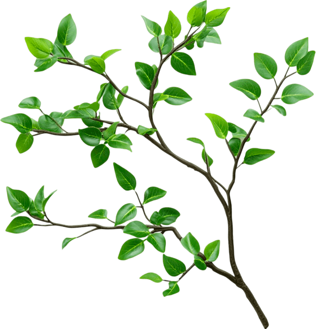 Green Aura Spa